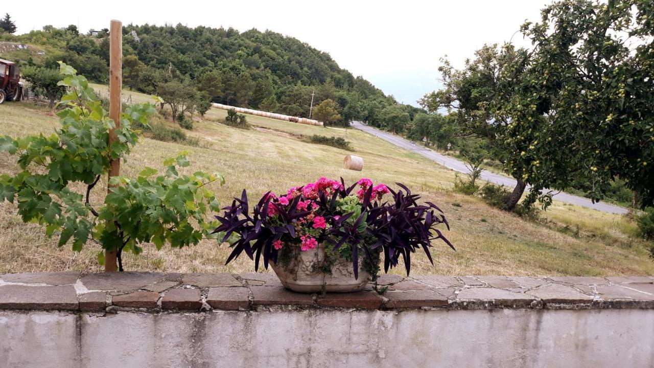 Agriturismo Persichitti Torricella Peligna Εξωτερικό φωτογραφία